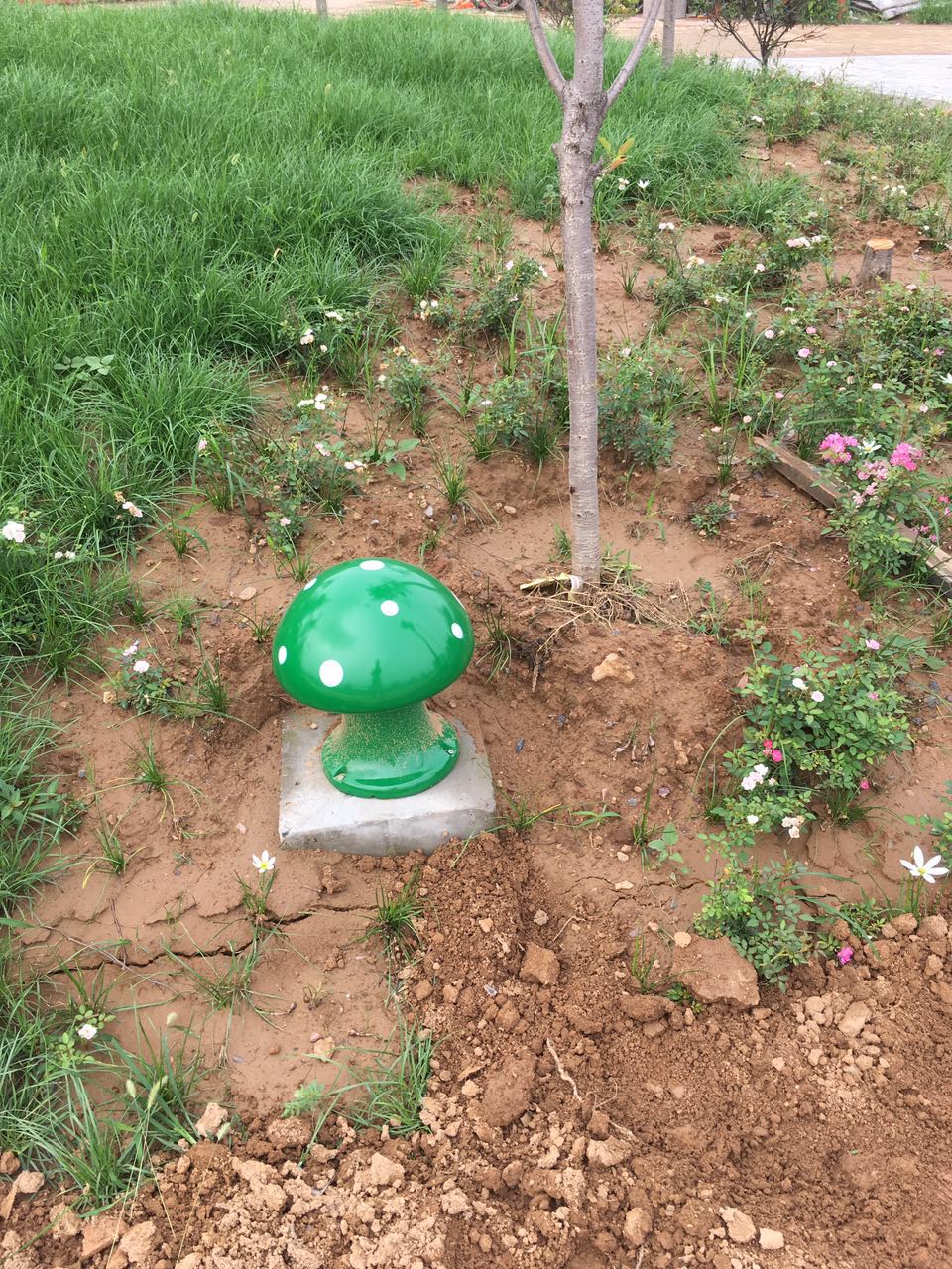 首页 - PP电子官方网站